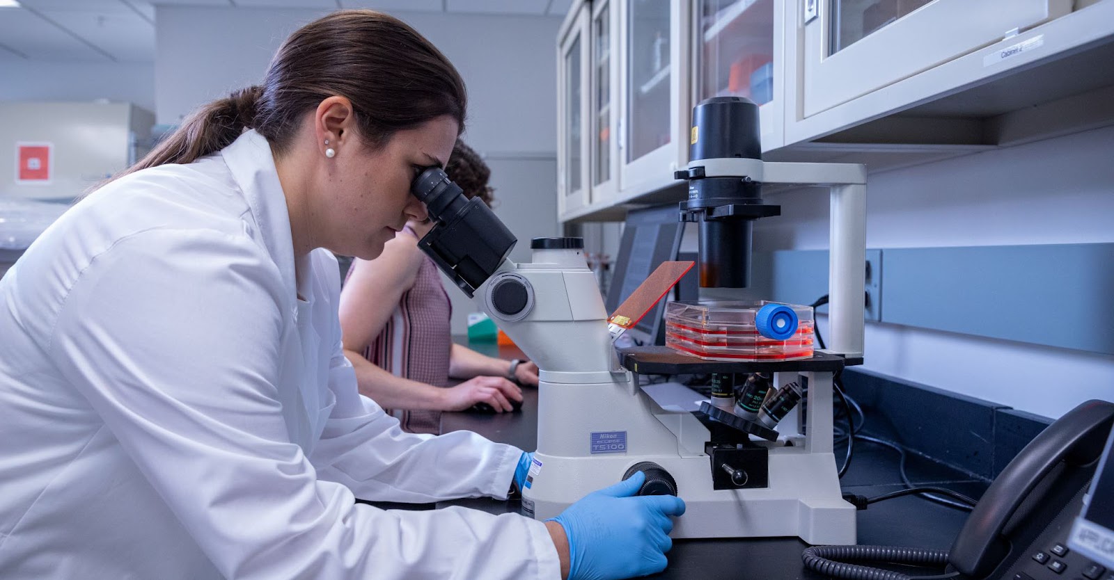 在干細胞用于治療之前，必須對其進行適當的激活和培養。