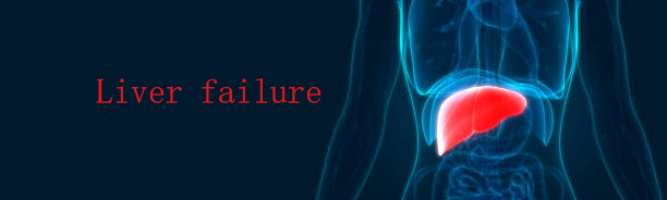 兩大醫(yī)院證明：干細(xì)胞療法能夠提高肝衰竭患者生存率并且改善肝功能！