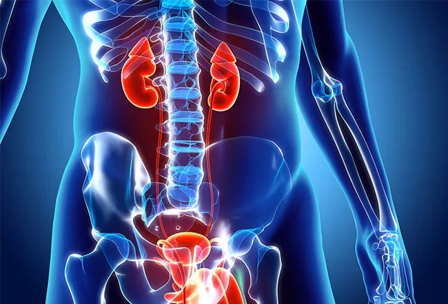 您通常可以降低患腎病的風(fēng)險(xiǎn)或阻止其進(jìn)展。