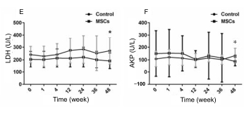 人臍帶間充質干細胞（hUC-MSC）治療對肝硬化失代償期患者肝功能的影響