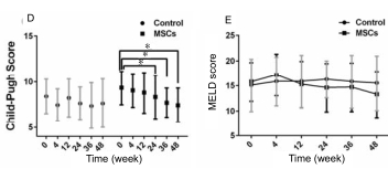 人臍帶間充質干細胞（hUC-MSC）治療對肝硬化失代償期腹水患者腎功能、凝血功能及Child-Pugh和MELD評分的影響