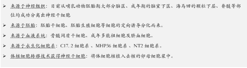 神經干細胞（NSC）的來源