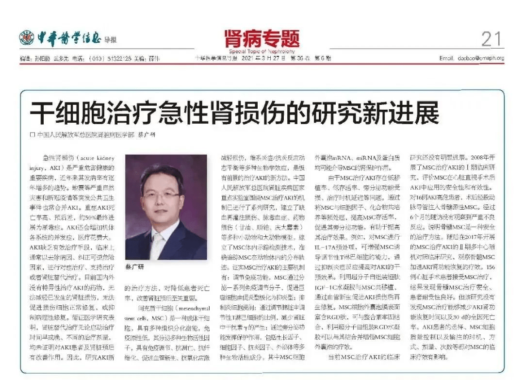 “干細胞治療急性腎損傷的研究新進展