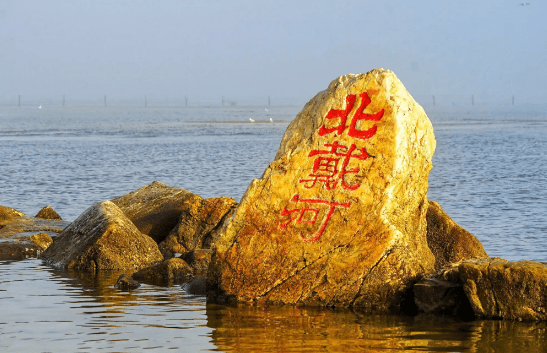 院士領銜，細胞療法“駛入”北戴河！療養(yǎng)勝地開啟醫(yī)療創(chuàng)新新篇章