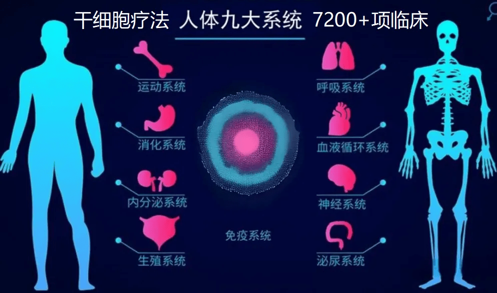 干細(xì)胞療法人體九大系統(tǒng)7200+項臨床