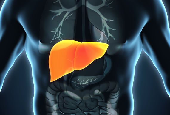 肝衰竭如何治療？干細胞治療為什么會成為修復肝衰竭的新途徑？