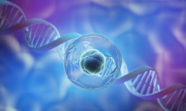 關于干細胞療法的5個誤解：科學是怎么說的