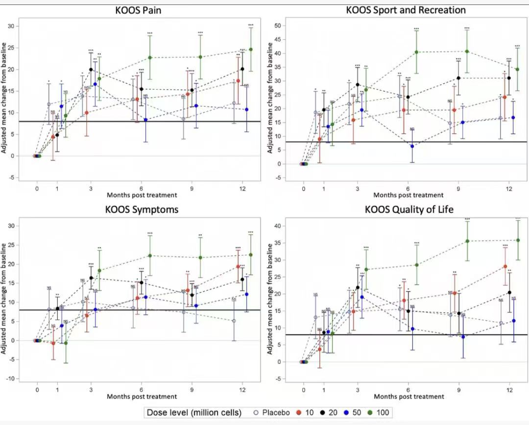 圖4：疼痛、體育與娛樂、癥狀、生活品質