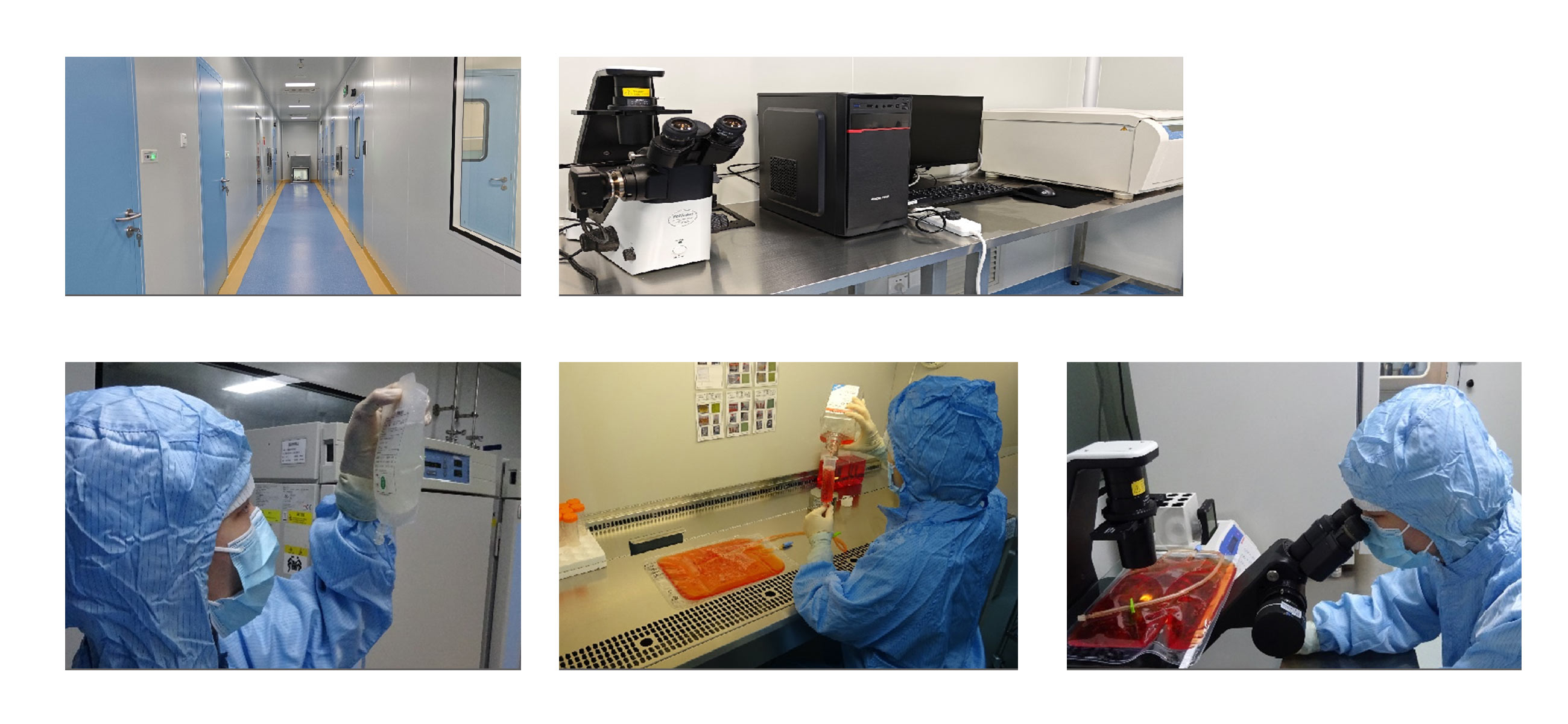 細胞制備中心(GMP)