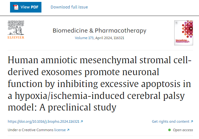 人羊膜間充質(zhì)干細(xì)胞來源的外泌體通過抑制缺氧/缺血誘導(dǎo)的腦癱模型中的過度細(xì)胞凋亡來促進(jìn)神經(jīng)元功能：一項臨床前研究