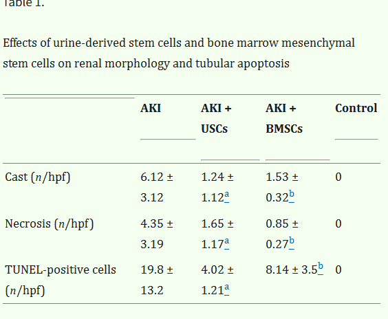 表1：尿源干細胞與骨髓間充質干細胞對腎臟形態及腎小管凋亡的影響