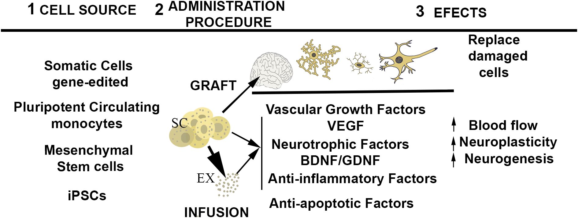 圖1：干細胞治療中心事件的示意圖。