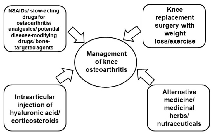 圖2：膝骨關(guān)節(jié)炎的當前治療策略。