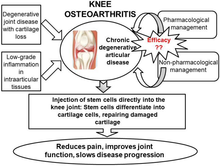 圖5：關(guān)節(jié)內(nèi)注射干細胞再生膝關(guān)節(jié)軟骨作為膝關(guān)節(jié)骨關(guān)節(jié)炎治療選擇的總結(jié)。