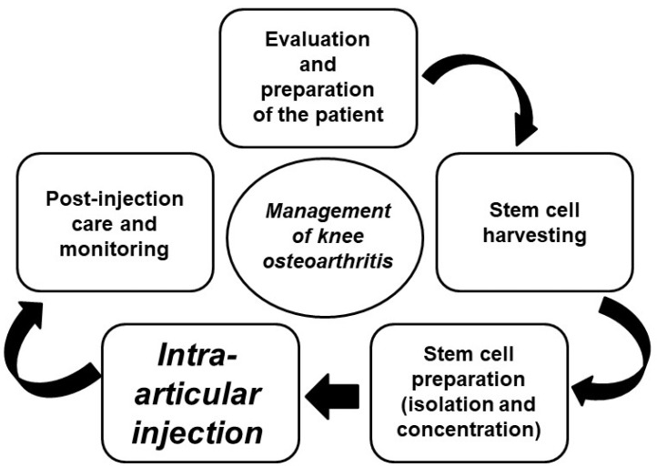 圖4：干細胞治療膝關(guān)節(jié)骨關(guān)節(jié)炎的過程