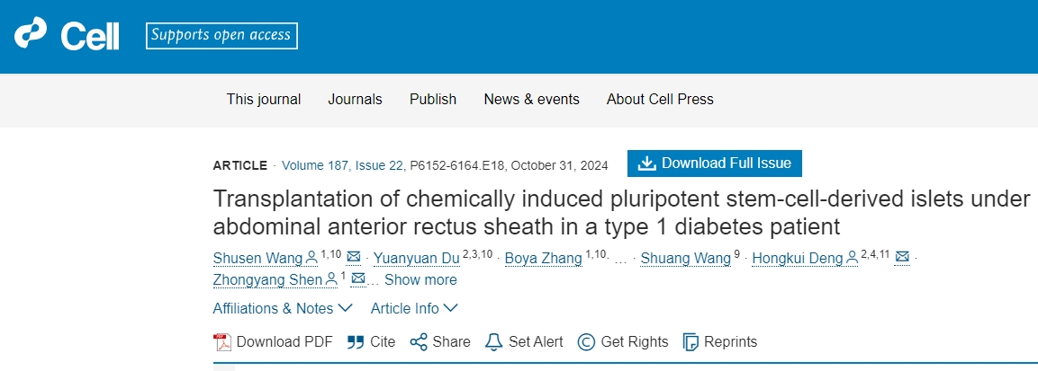 化學(xué)誘導(dǎo)的多能干細(xì)胞衍生的胰島移植到1型糖尿病患者的腹部前直肌鞘下
