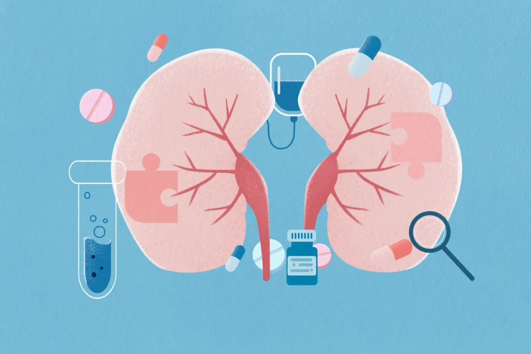 直擊腎科難題！解密干細胞如何重塑腎病患者腎小球濾過率