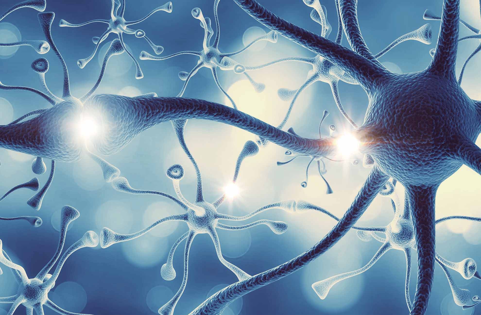 北京協(xié)和醫(yī)院領銜！全國十大醫(yī)院神經干細胞移植臨床試驗最新進展解讀