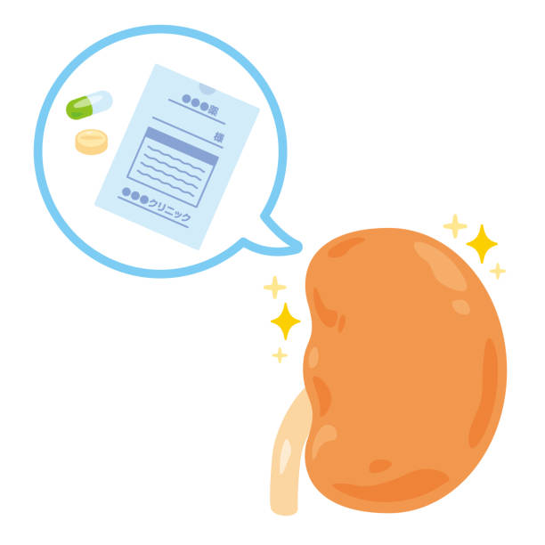 間充質干細胞治療腎病的獨特優勢：5項臨床驗證患者腎功能改善