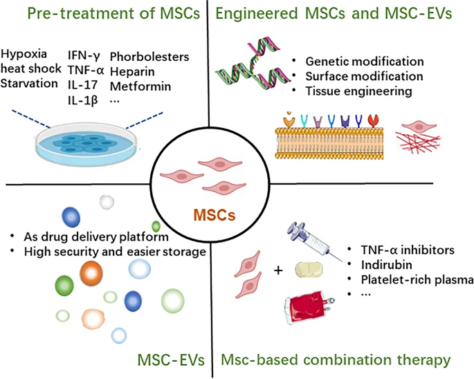 圖3：增強間充質干細胞治療效果的方法。