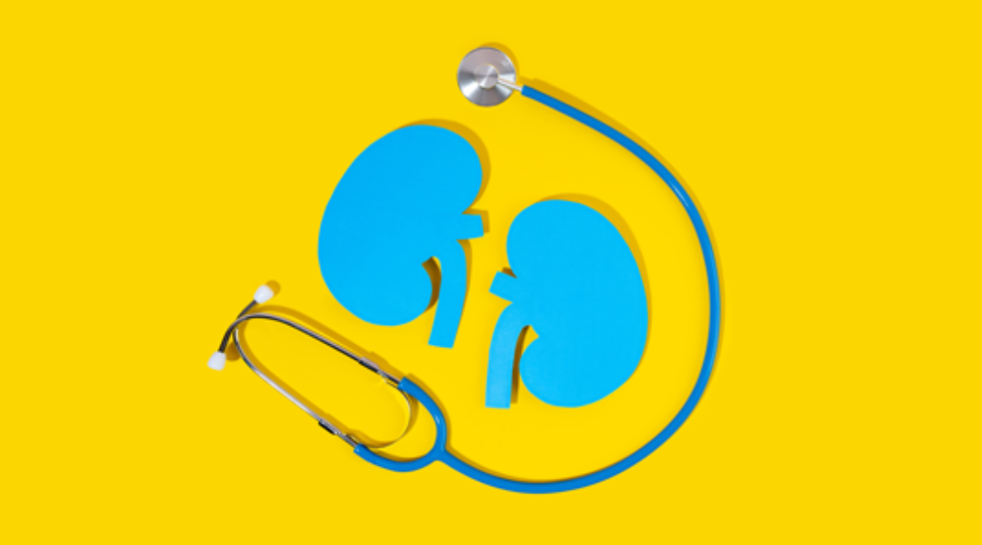 干細胞治療腎病：基因、年齡與疾病類型如何共同決定療效？