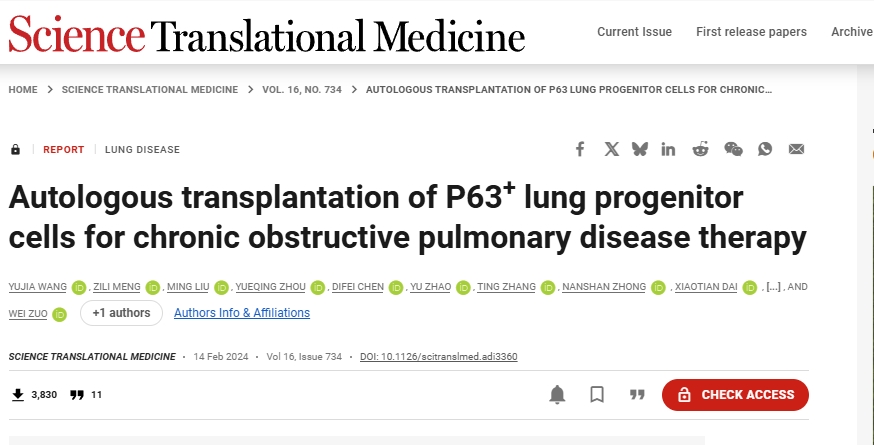 自體P63+肺祖細胞移植治療慢性阻塞性肺病