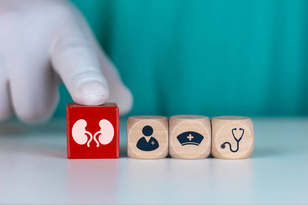 干細胞治療腎病的短期安全性：機制與臨床證據(jù)