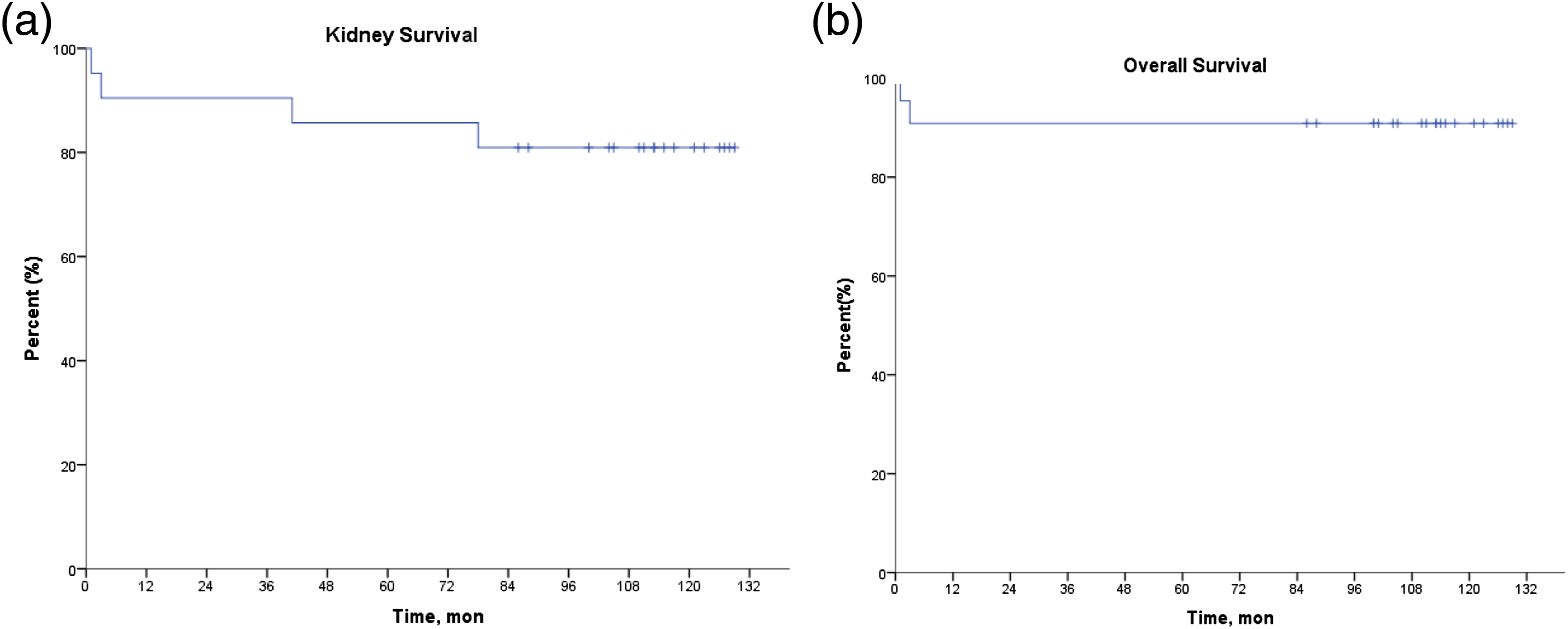 圖1：研究中患者的腎臟生存率和總生存率。