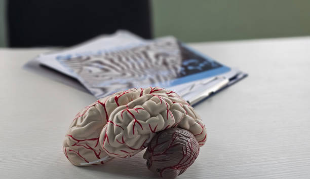 日本:iPS細胞衍生的多巴胺能細胞治療帕金森病的I/II期臨床試驗 日本:iPS細胞衍生的多巴胺能細胞治療帕金森病的I/II期臨床試驗