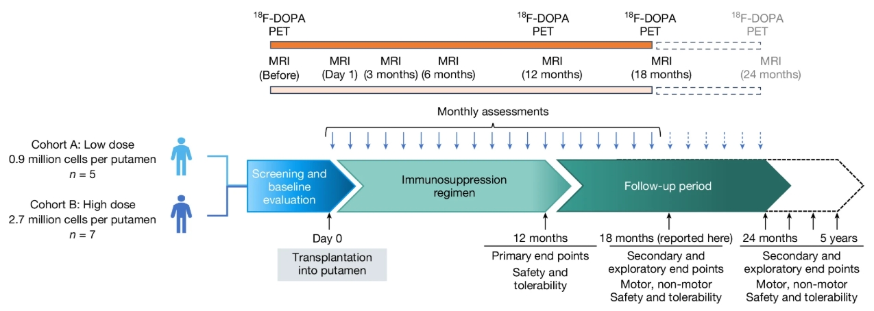 圖1：研究設計概要。患者按順序入組低劑量組和高劑量組。