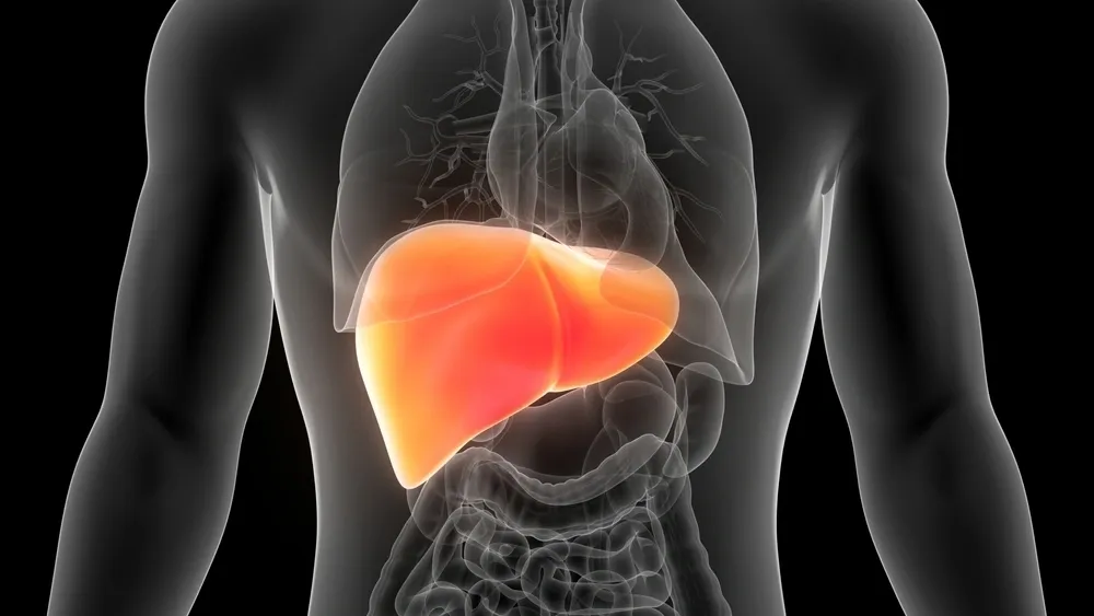 2025年1-12月干細(xì)胞治療肝衰竭的臨床最新進(jìn)展指南