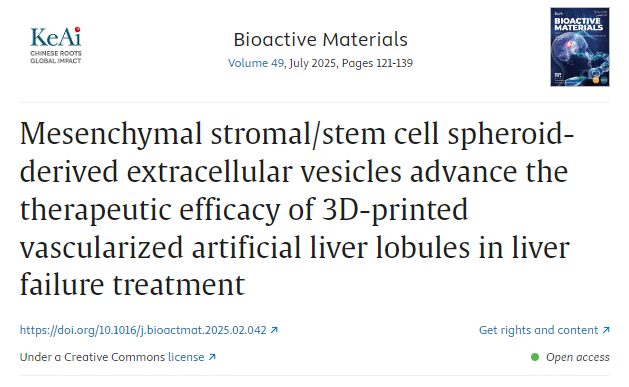 間充質(zhì)基質(zhì)/干細(xì)胞球體衍生的細(xì)胞外囊泡提高3D打印血管化人工肝小葉在肝衰竭治療中的療效
