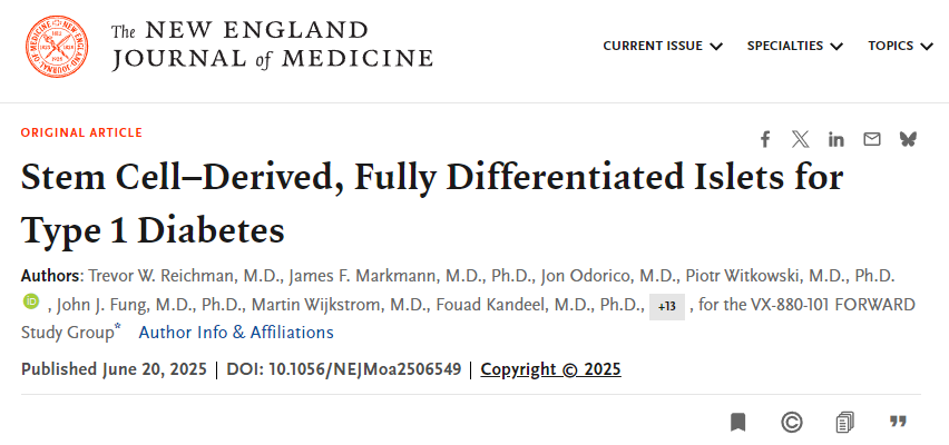 干細(xì)胞衍生的完全分化胰島用于治療1型糖尿病