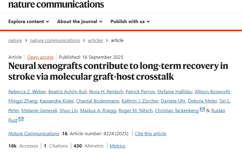 神經異種移植通過分子移植物-宿主相互作用促進中風后的長期康復