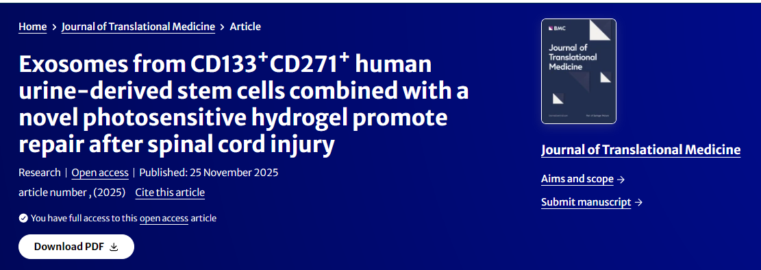 來自CD133?
+CD271+人尿源干細胞的外泌體與新型光敏水凝膠聯合使用可促進脊髓損傷后的修復