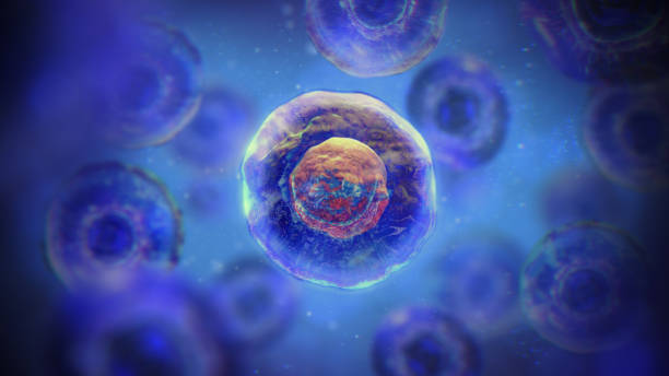 間充質(zhì)干細胞一針多少錢？2025年價格全景圖與避坑指南