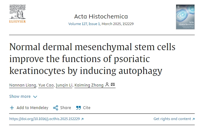 正常真皮間充質干細胞通過誘導自噬改善銀屑病角質形成細胞的功能 正常真皮間充質干細胞通過誘導自噬改善銀屑病角質形成細胞的功能