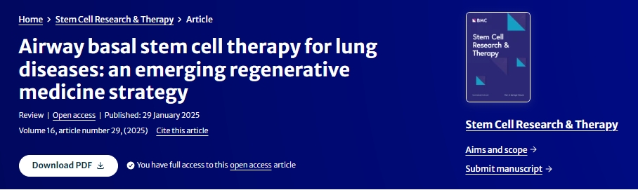 氣道基礎干細胞治療肺部疾病:一種新興的再生醫學策略 氣道基礎干細胞治療肺部疾病:一種新興的再生醫學策略