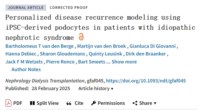 使用 iPSC 衍生的足細胞對特發性腎病綜合征患者進行個性化疾病復發建模