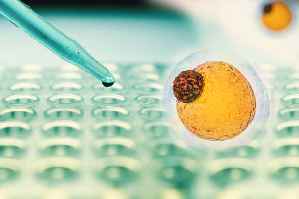 人工干細胞治療腎病的臨床應用