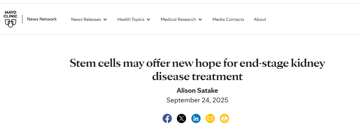 干細(xì)胞療法或?qū)榻K末期腎病治療帶來新的希望