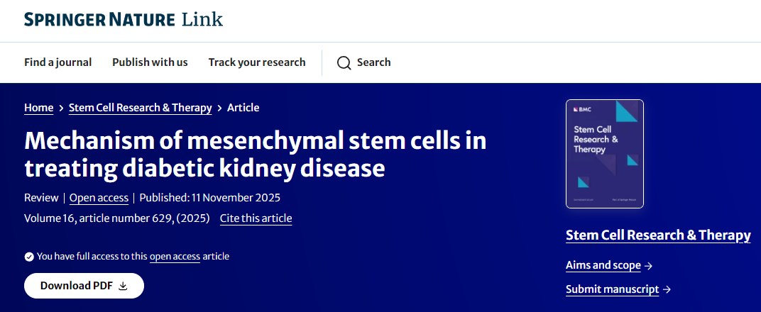 間充質干細胞治療糖尿病腎病的機制