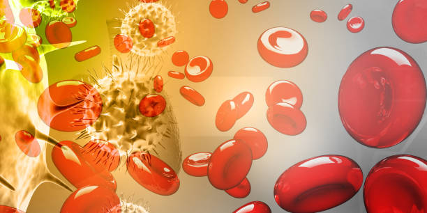 上海有哪些醫院開展了干細胞治療血液病與腫瘤的研究？