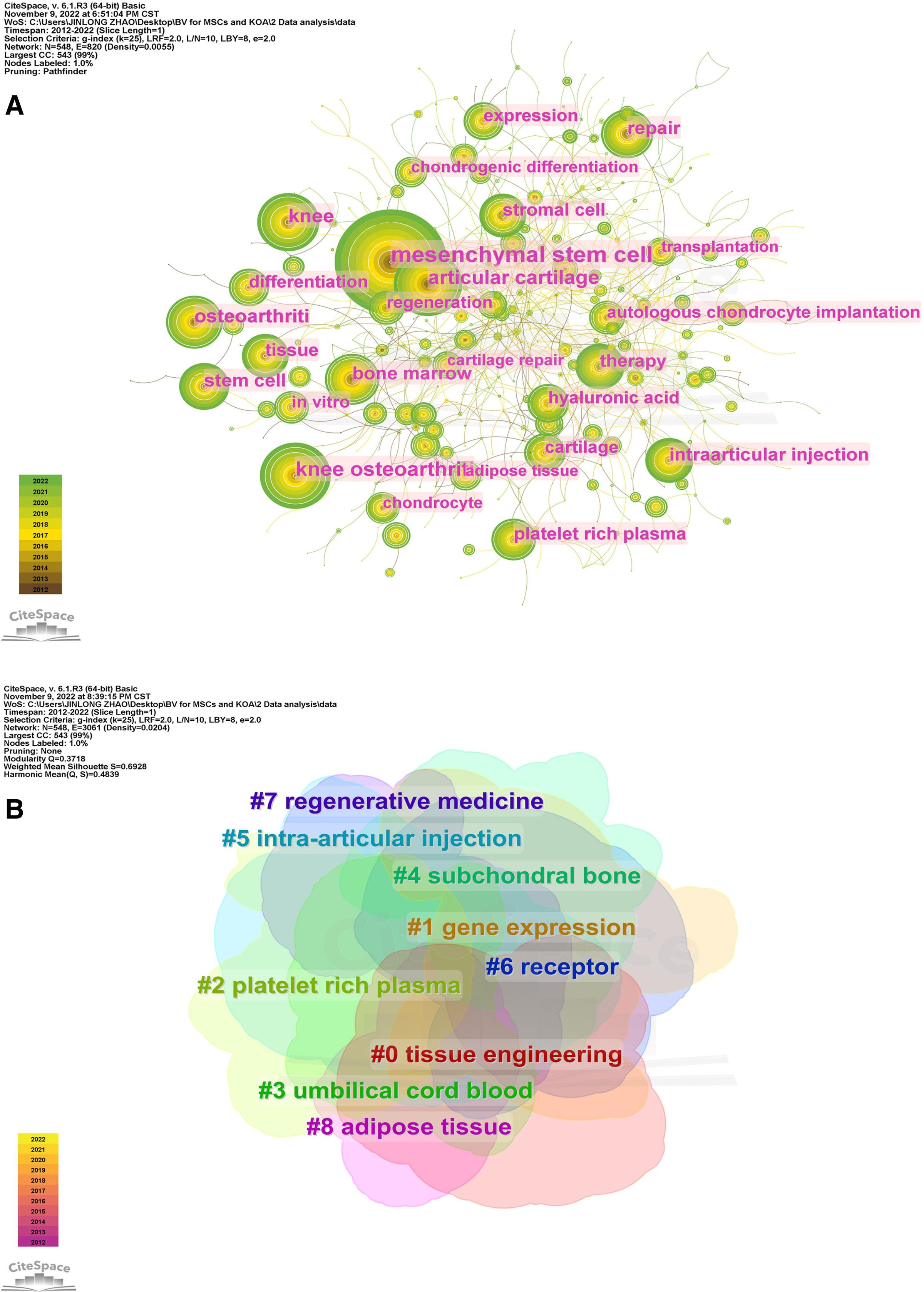圖5：CiteSpace可視化MSCs與KOA研究的關鍵詞。（B）關鍵詞聚類分析。