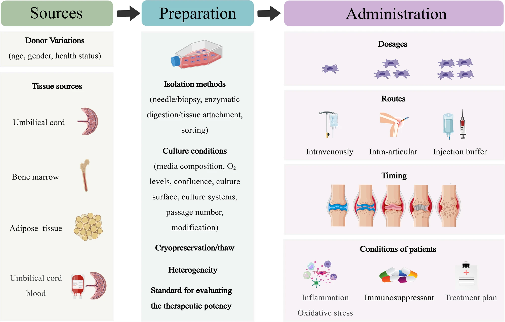 圖6:MSCs在類風濕性關節炎的臨床應用中,需要精確地標準化參數。 圖6:MSCs在類風濕性關節炎的臨床應用中,需要精確地標準化參數。