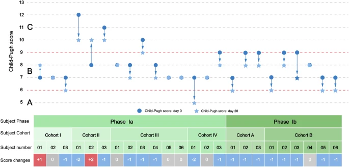 圖2：從基線到第28天，個(gè)人Child-Pugh評(píng)分的變化。