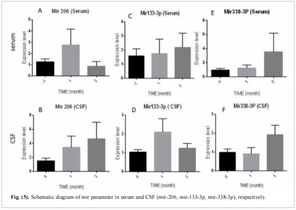 圖3：血清和腦脊液中miRNA參數的示意圖(mir-206、mir-133-3p、mir-338-3p)