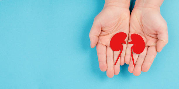 干細(xì)胞移植治療狼瘡性腎炎：I期臨床試驗(yàn)9例結(jié)果公布，療效顯著