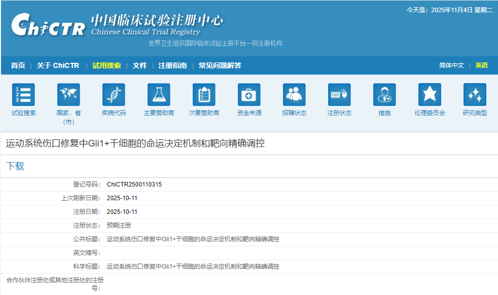 運動系統(tǒng)傷口修復(fù)中Gli1+干細胞的命運決定機制和靶向精確調(diào)控