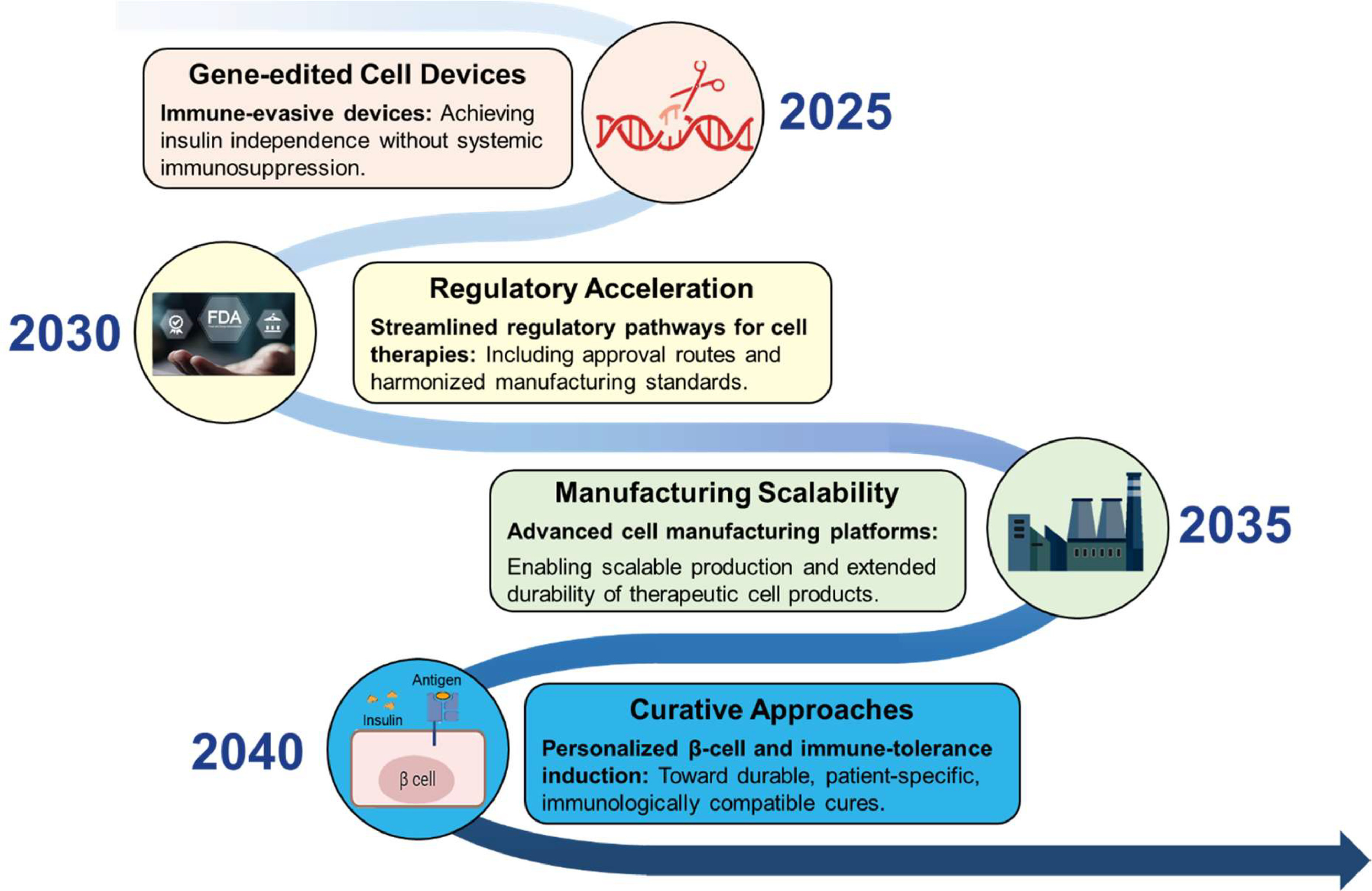 圖4：干細胞治療糖尿病的路線圖（2025-2040年）。